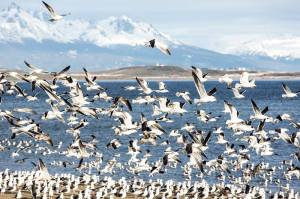 Foto feita pelo casal em Ushuaia, na Argentina (Foto: Arquivo Pessoal)