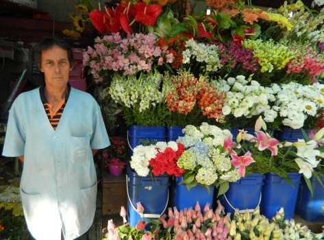 Donizetti trabalhou a vida toda vendendo flores no cemitério