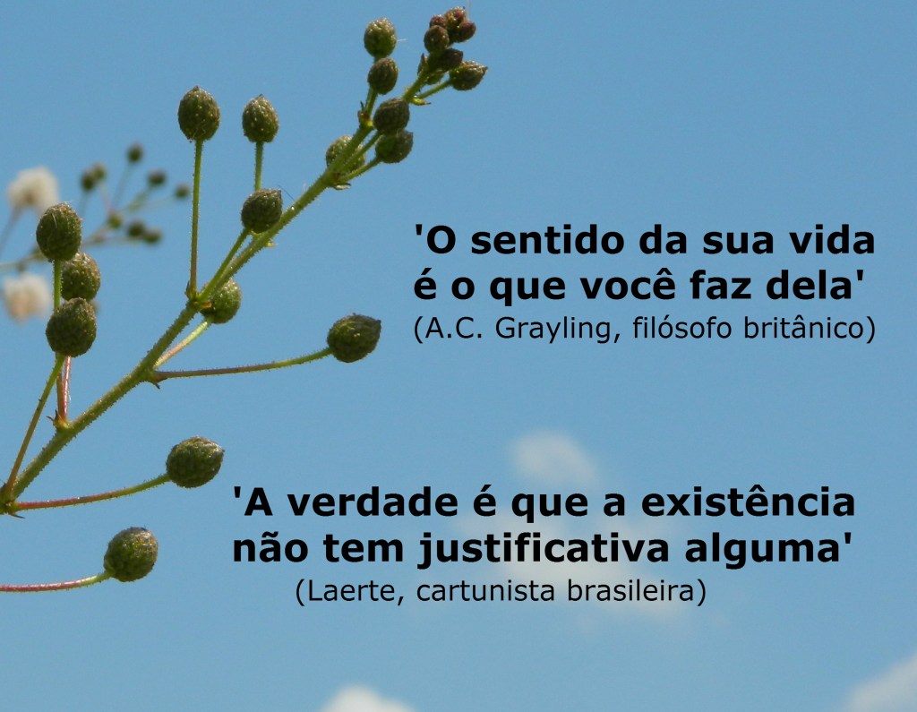 Montagem Larte e Filósofo