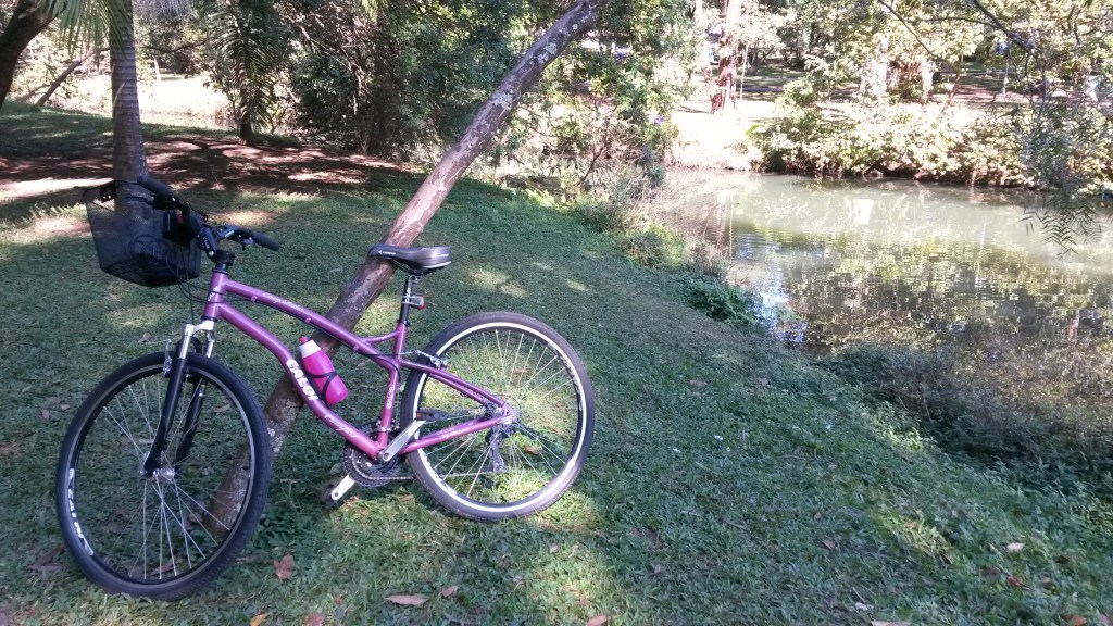 Minha companheira de aventuras no Parque do Ibirapuera