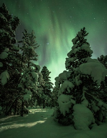 'Em um certo momento, um monstro verde veio do céu' (Foto: Divulgação)