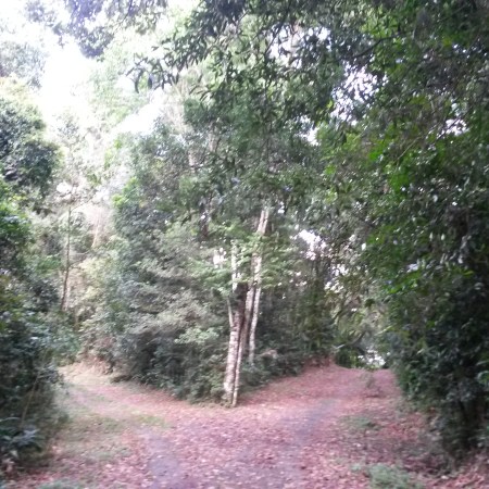 O que fazer quando há uma bifurcação? Qual caminho seguir?